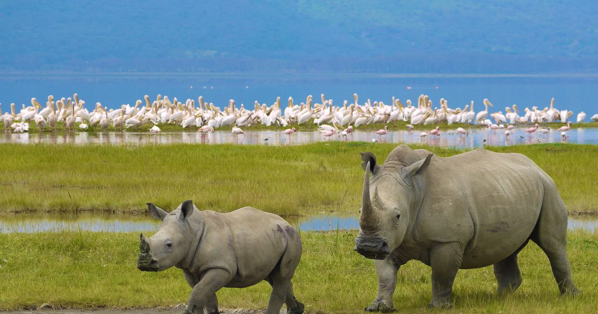  Ngorongoro Crater