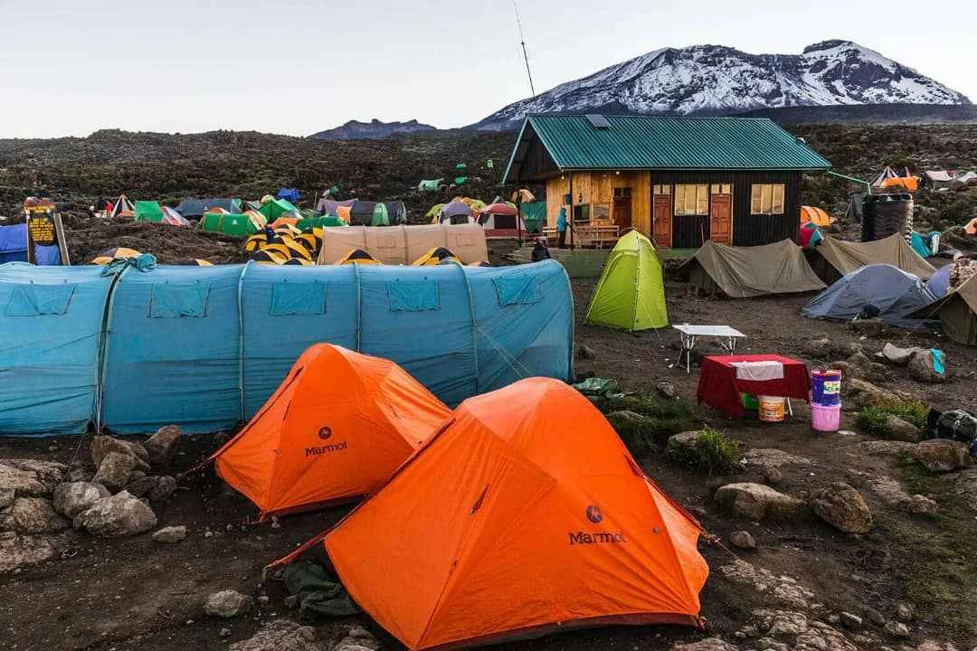 7 DAYS RONGAI ROUTE KILIMANJARO TREKS