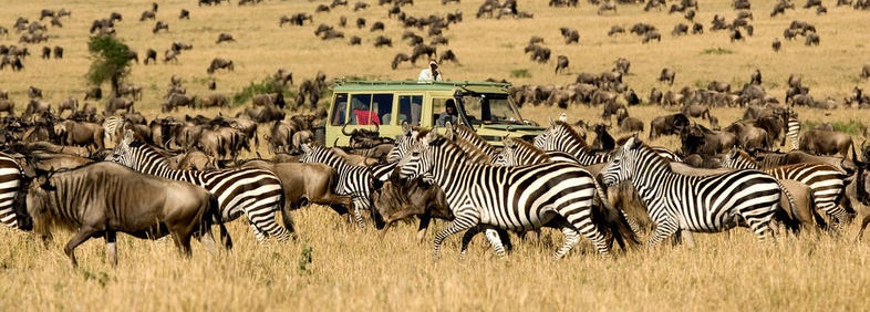 TANZANIA SAFARIS