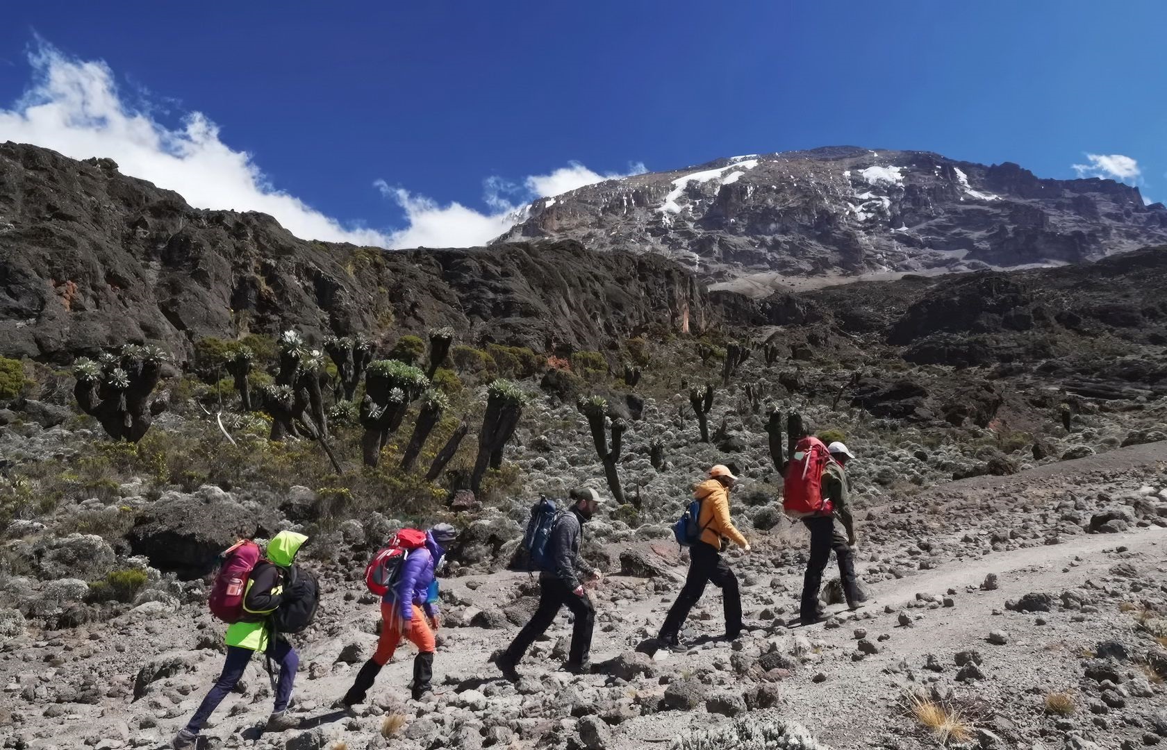 6 DAYS UMBWE ROUTE KILIMANJARO TREKS